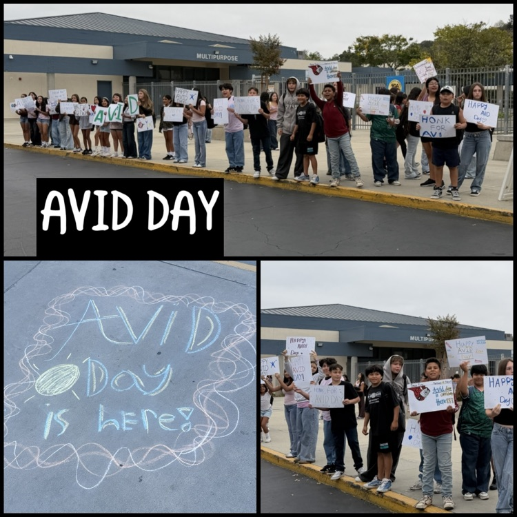 AVID day activities 