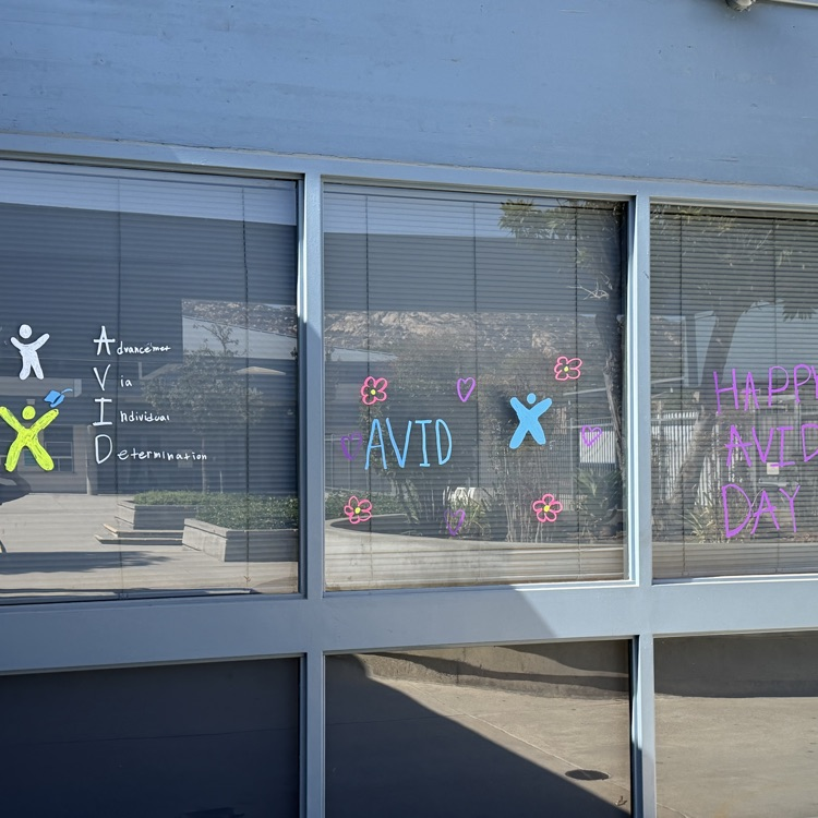 avid messages on the windows 