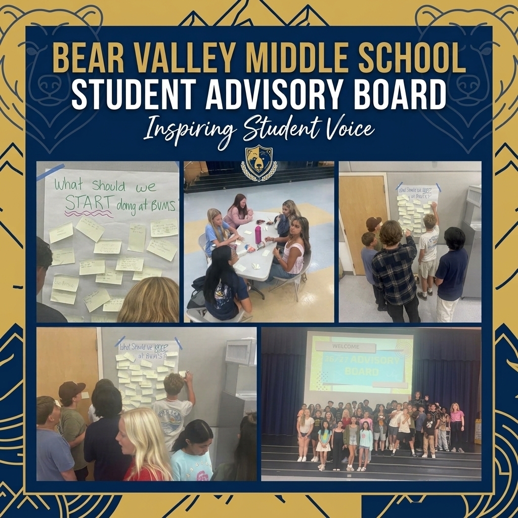 flyer saying student advisory board inspiring student voice and pictures of the group and groups working together on a task