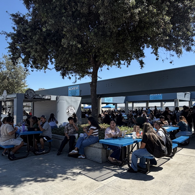 family day at lunch