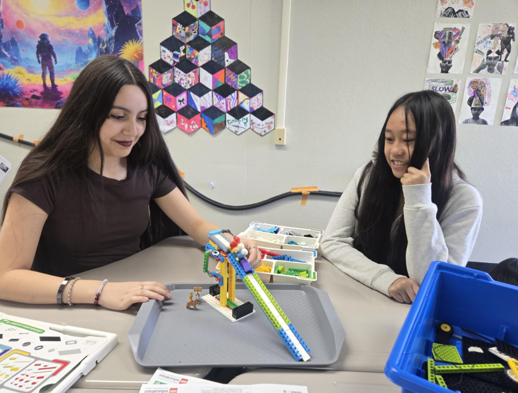 LLA Hybrid in person STEM projects