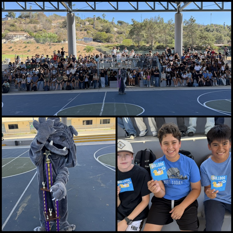 over 300 students celebrated for perfect attendance 