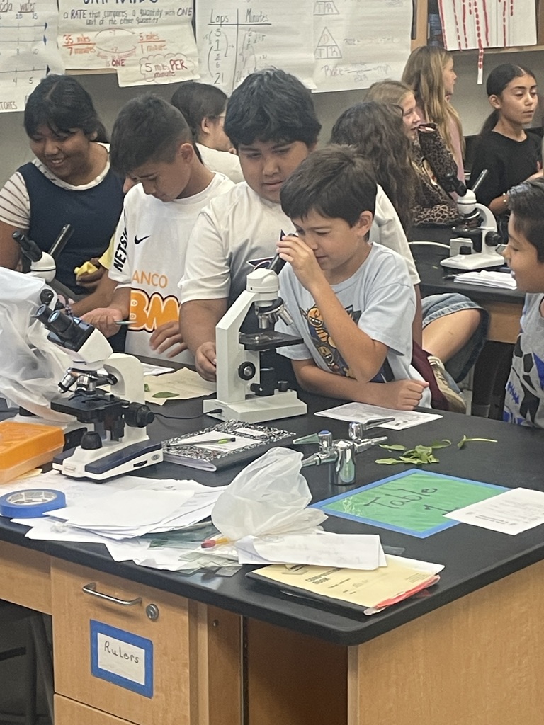 Students looking in microscope