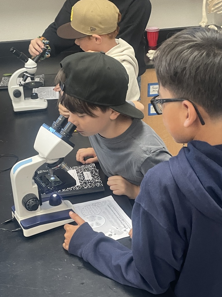 Students looking in microscope