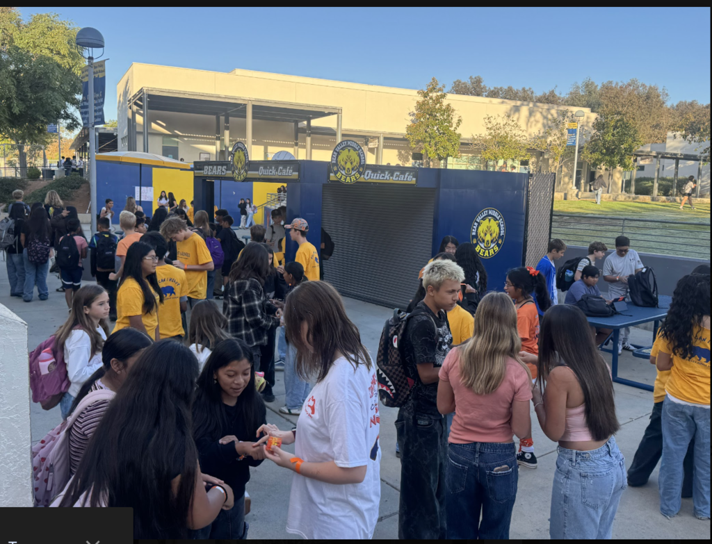 Students participating in WEB activity