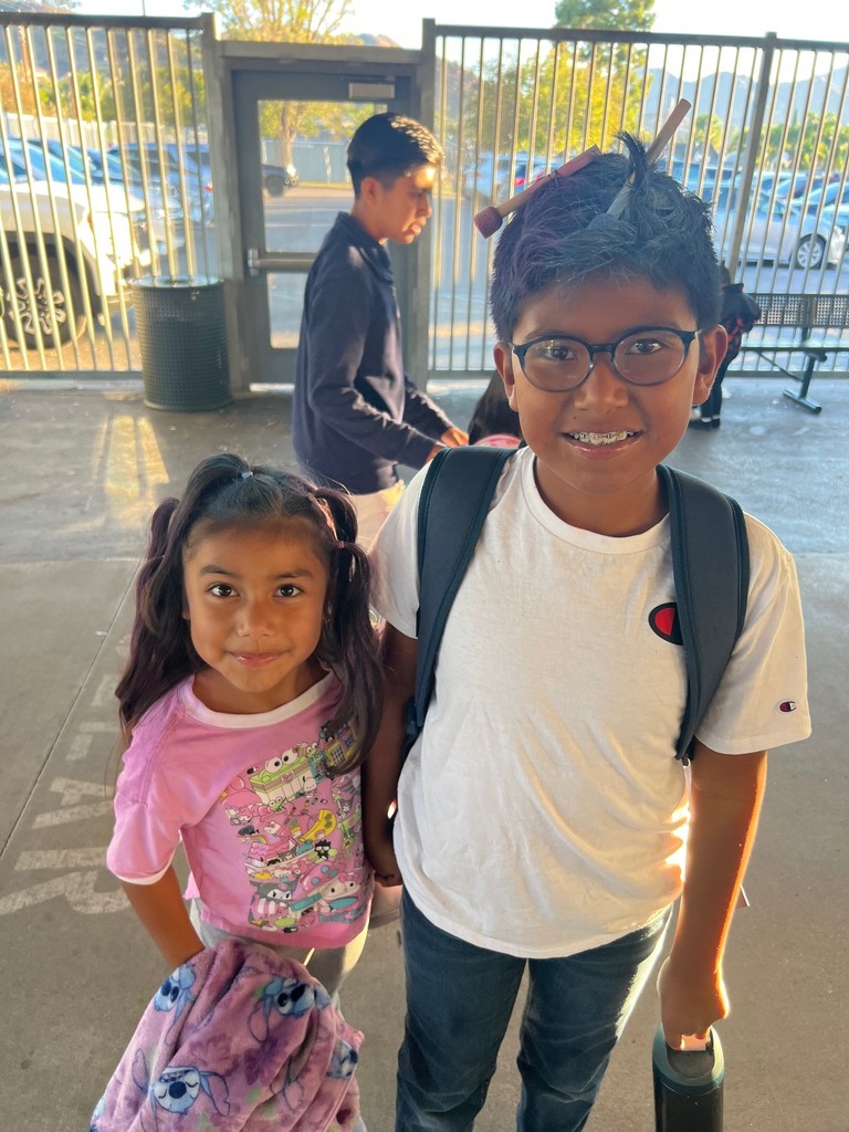 Two students with crazu hair, and one student is wearing a white shirt and the other is wearing a pink shirt 