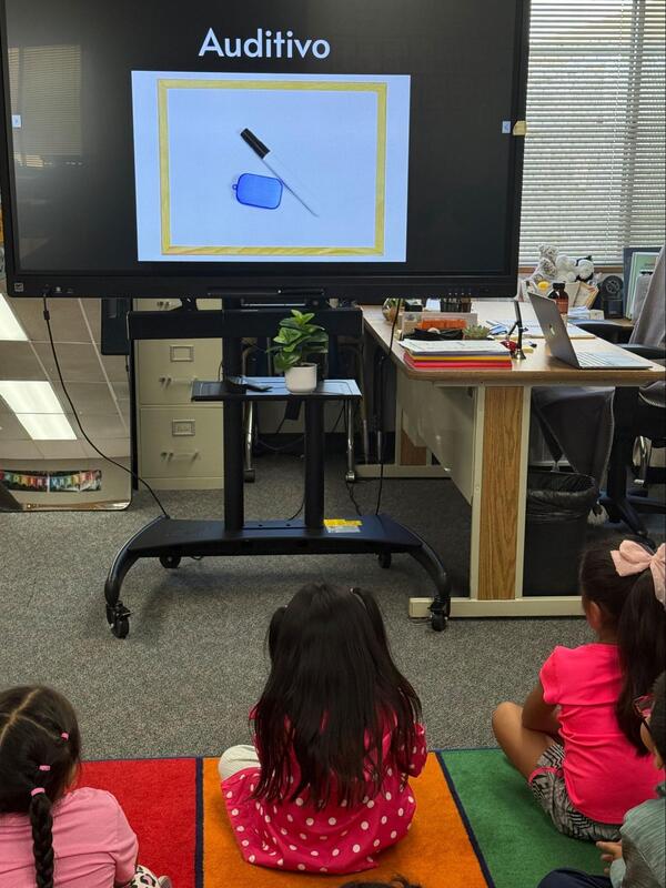 Students sit on the floor and view a television that says, "Auditivo."