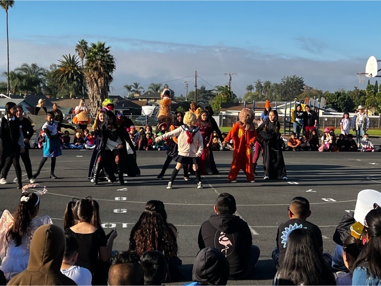 Dance Crew Performance 