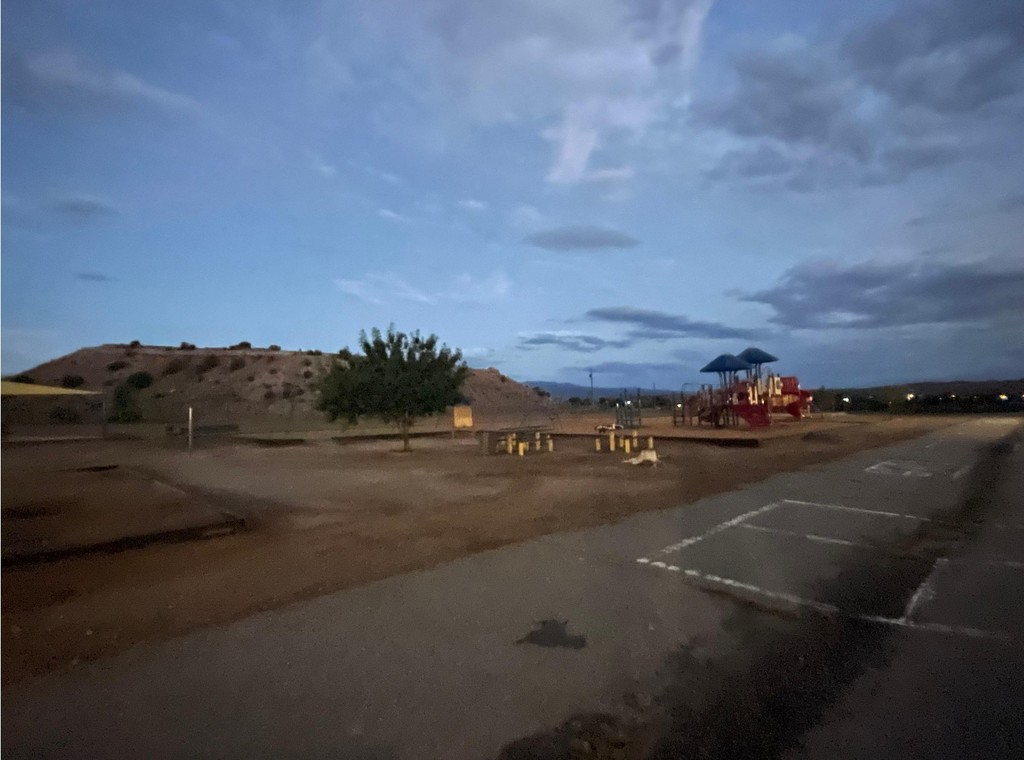 PAC Families Cleaning the Playground