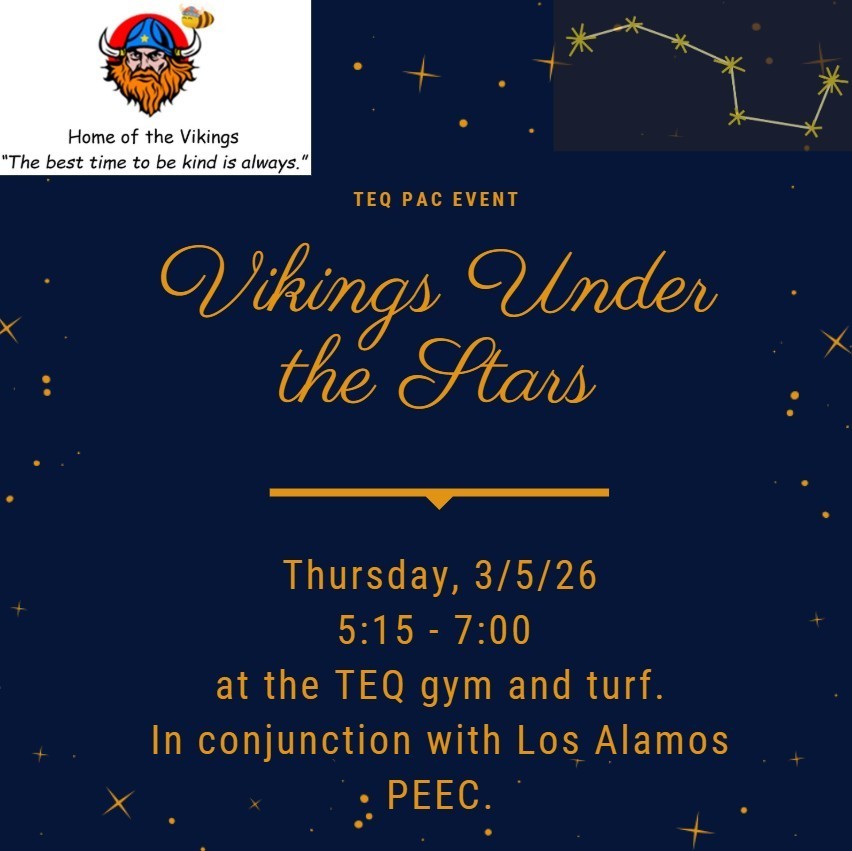 Vikings Under the Stars