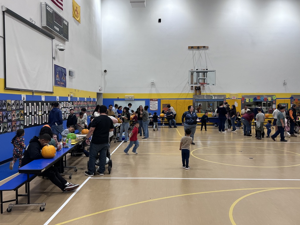 Pumpkin Palooza