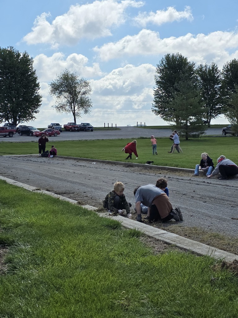 CSD