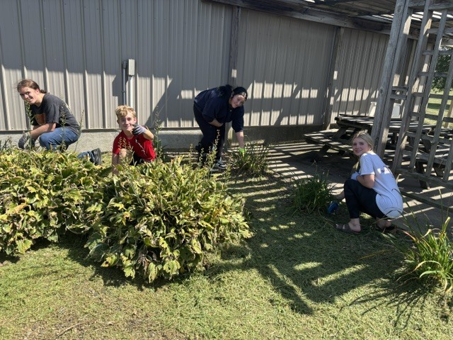 Students cleaning out bushes outside