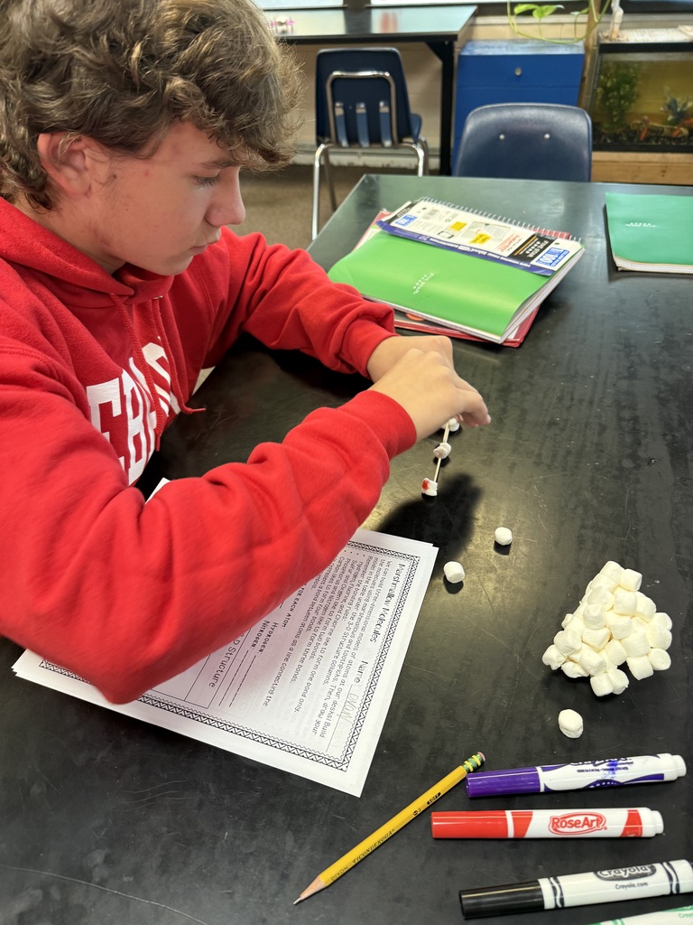 Student creating a 3D molecule with marshmallows and toothpicks