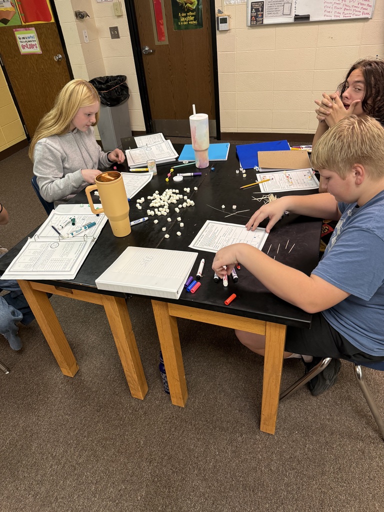 Students working on 3D molecule project