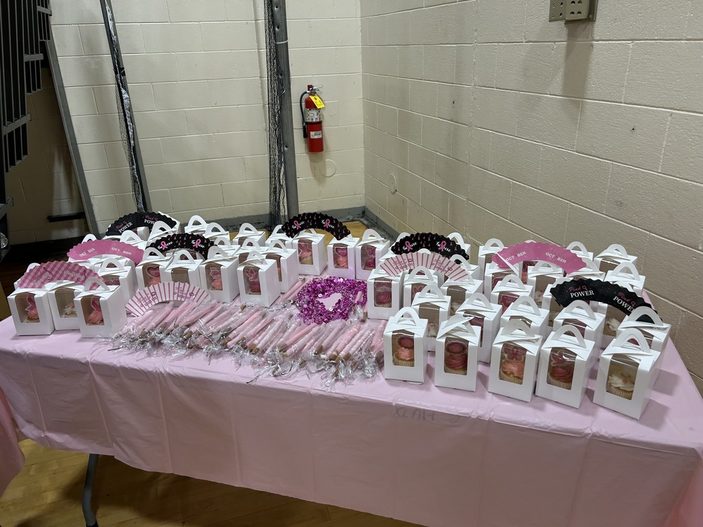 Special Breast Cancer Awareness Recognition