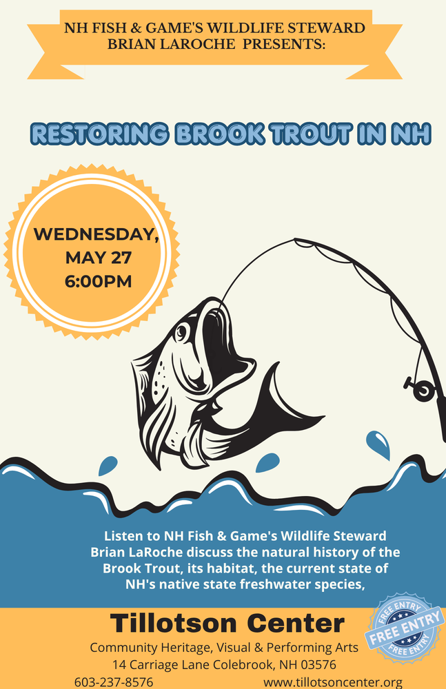 Brook Trout