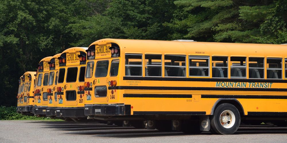 buses