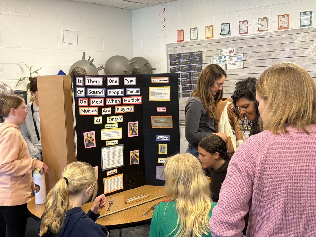 science fair 