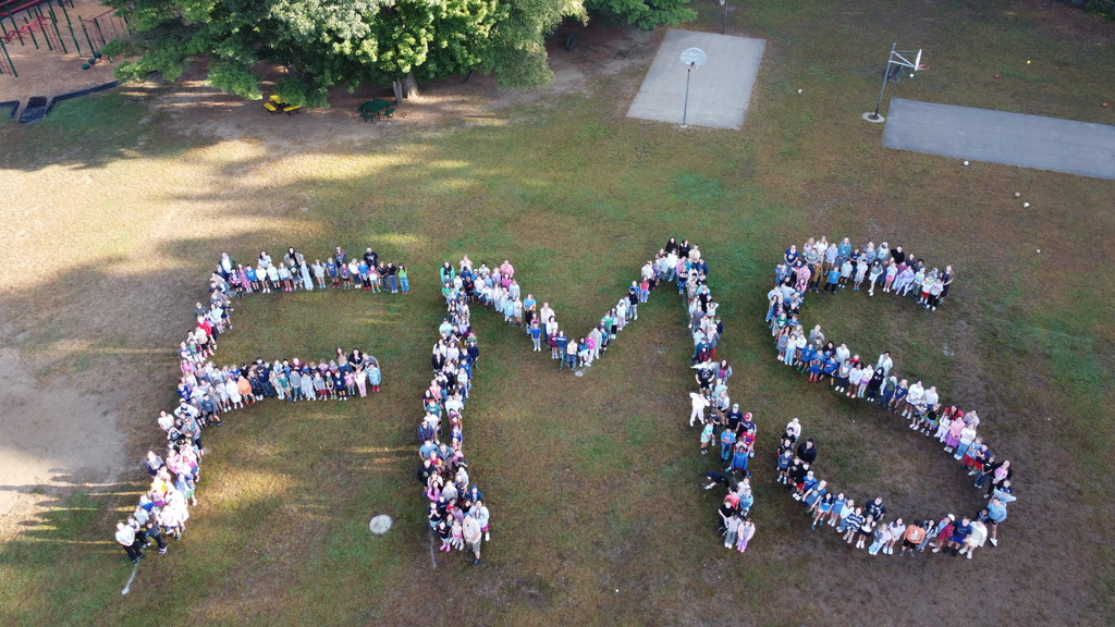 A group of people in a park forming the letters "FMS" in a grassy field.