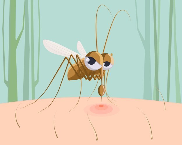 Mosquito