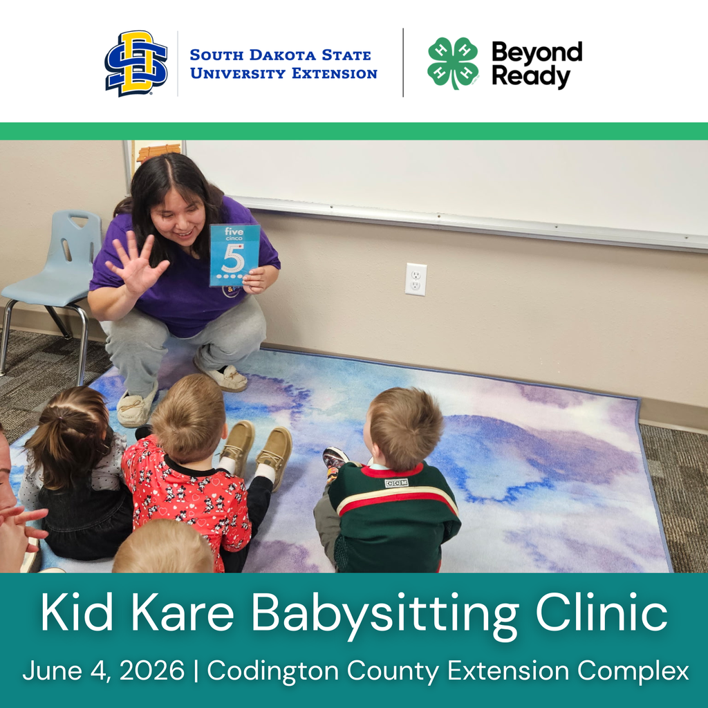Baby Sitting Clinic