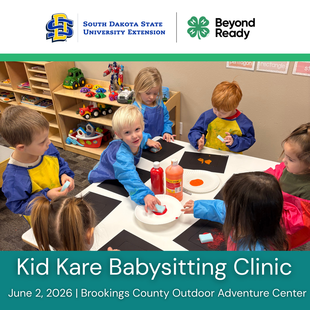 Baby Sitting Clinic