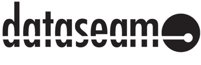 dataseam logo