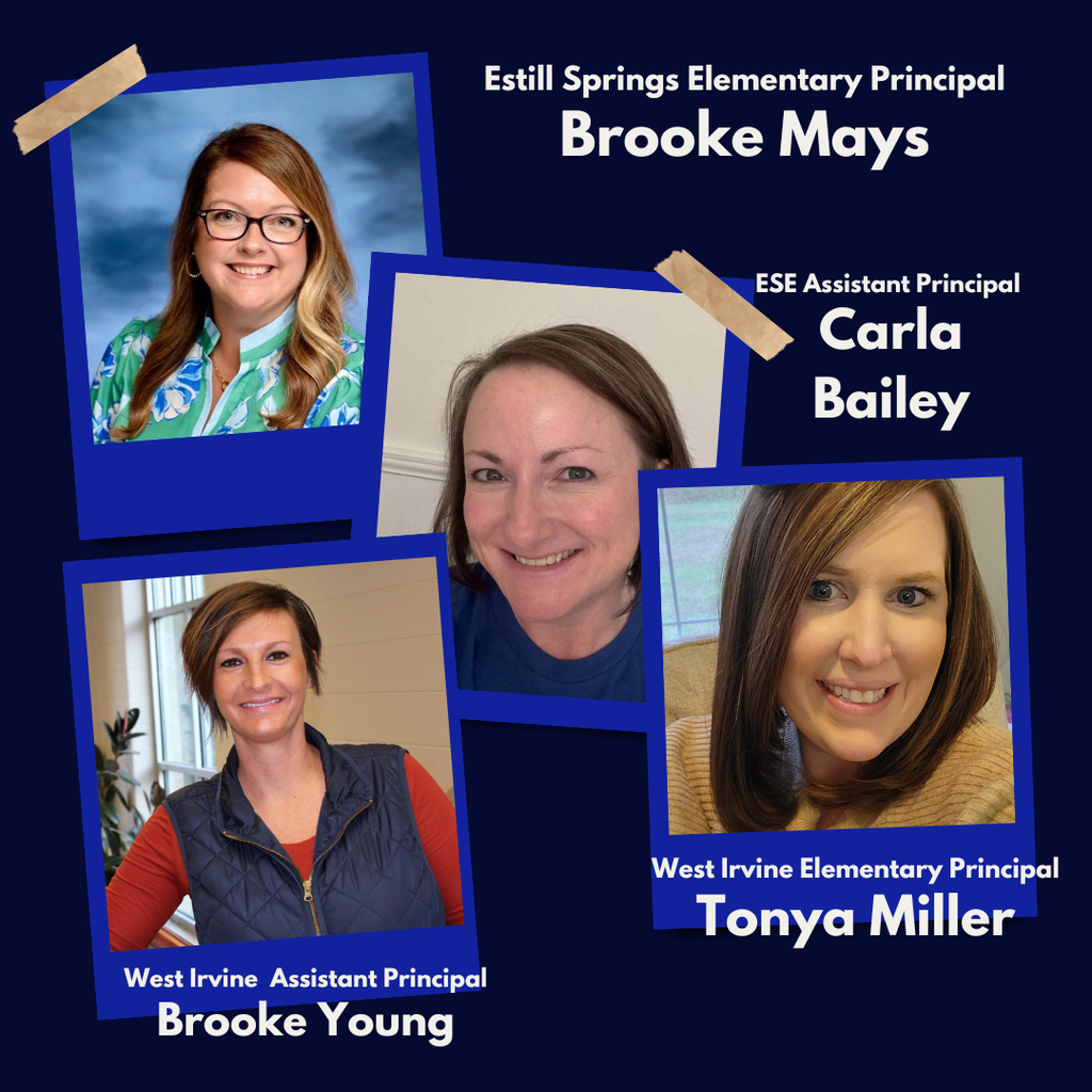 Principal Appreciation