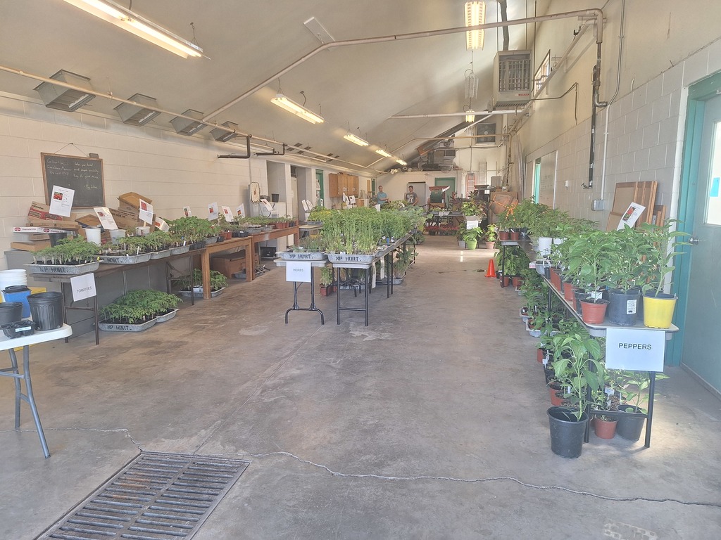OWLS plant sale