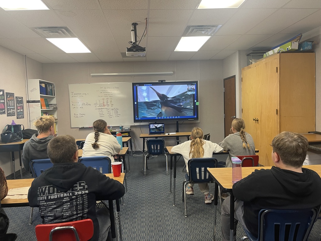 Class attends Henry Doorly Zoo virtual field trip.