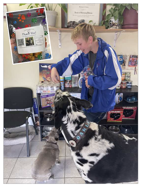 Colton Boyce of Arthur shares some of his homemade treats with dogs at the Perkins County Veterinary Hopsital and Shelter.