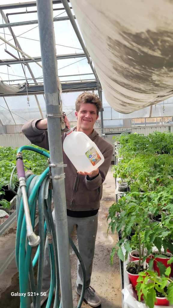 Plant Sale 5/1/24 10-1;30