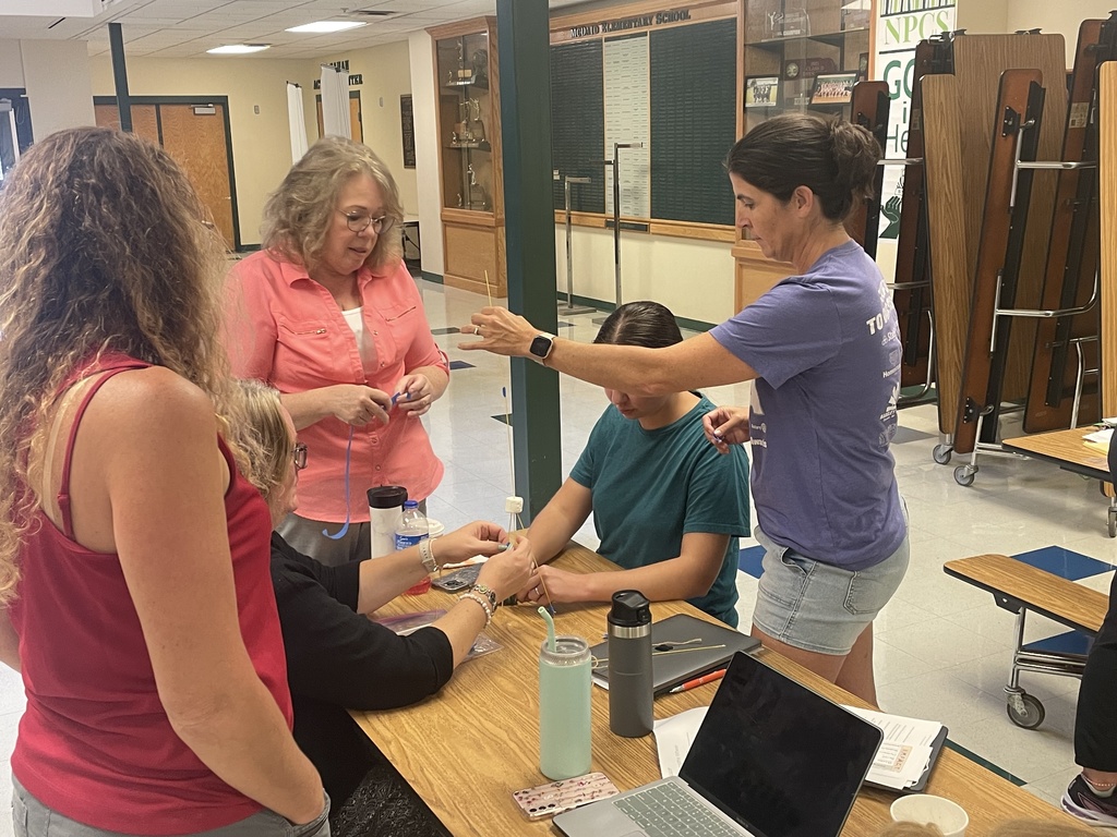 Teachers working together