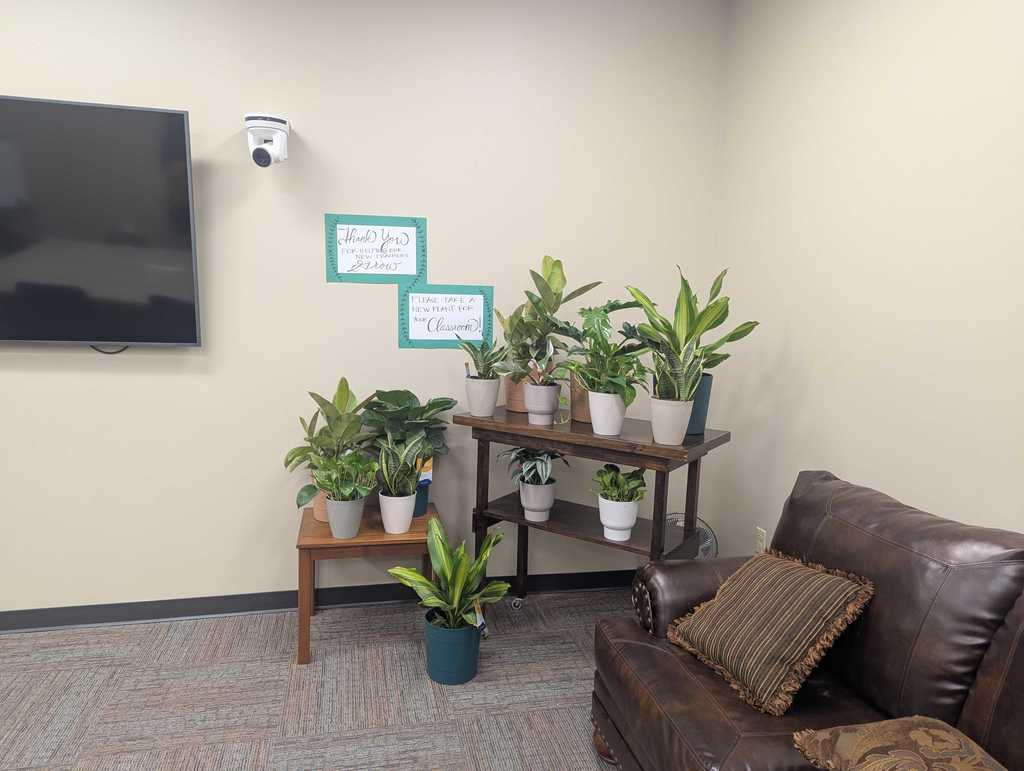 Plants in Classroom