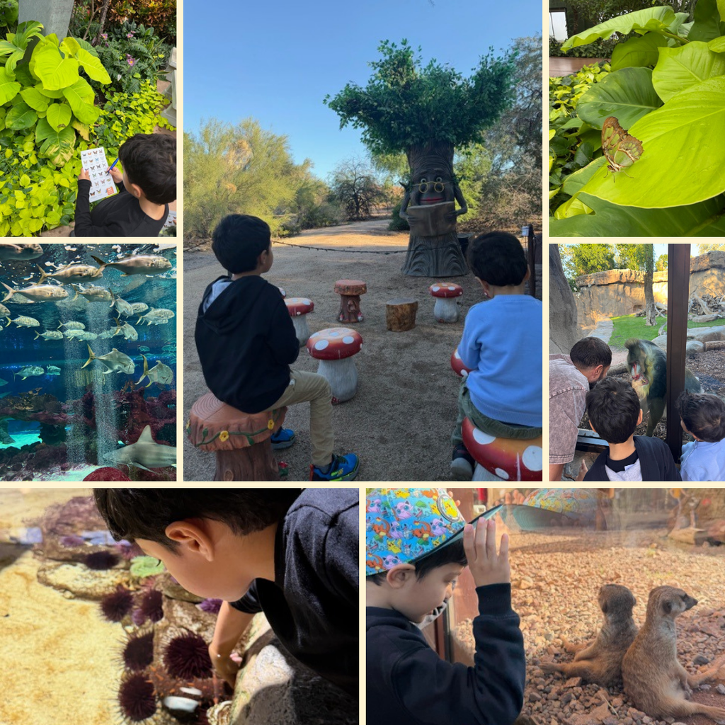 images of students at an aquarium and zoo