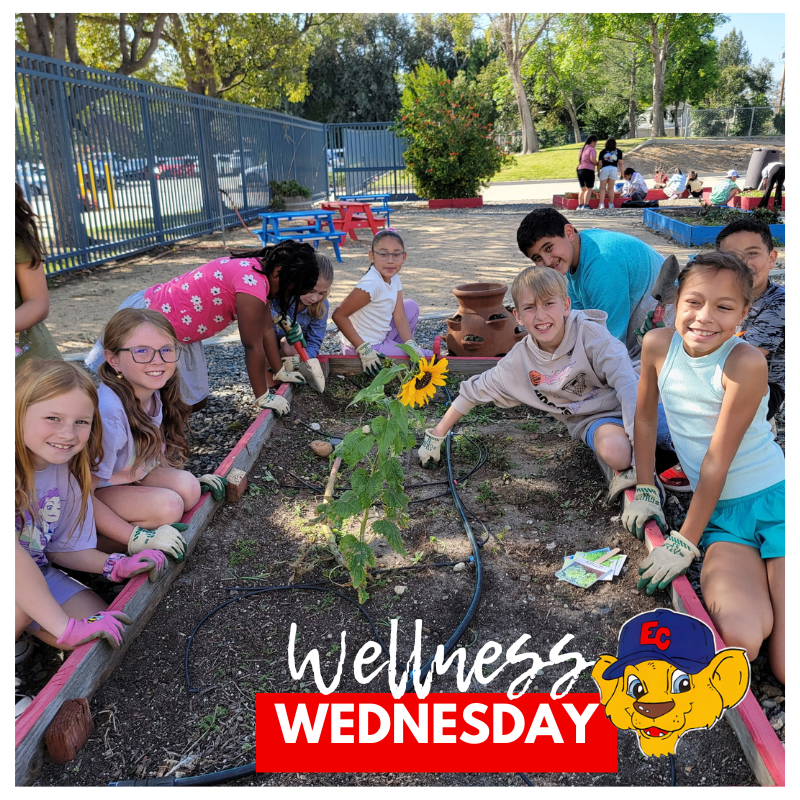 Text Wellness Wednesday Image: students working in a garden