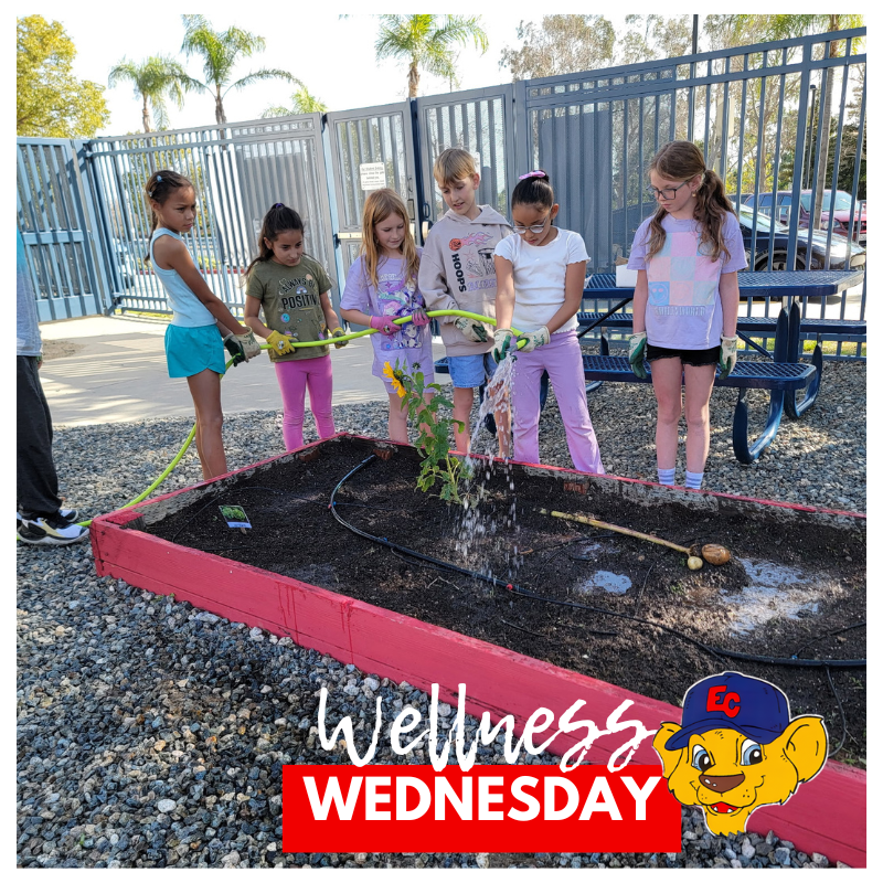 Text Wellness Wednesday Image: students working in a garden