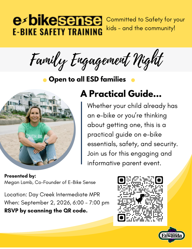 e-bike safety poster