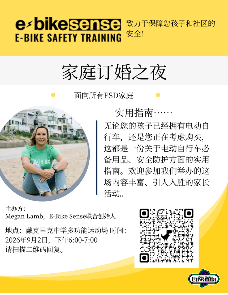 E-Bike Safety