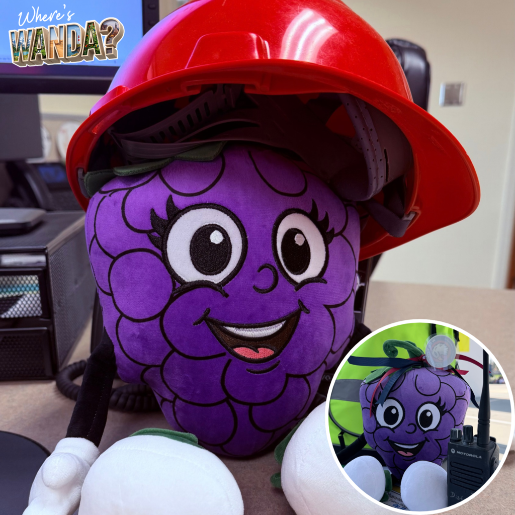 Text: Where's Wanda Image: two grapes one wearing a red hat and the other with a walkie talkie