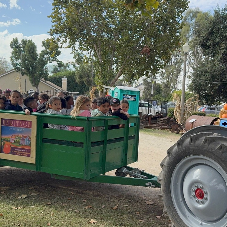 wagon