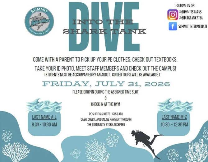 image of DIVE