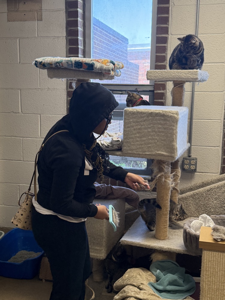 Student volunteering