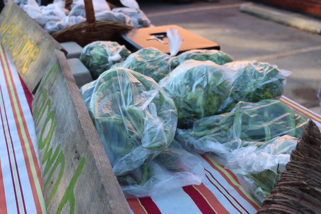 Fresh Produce