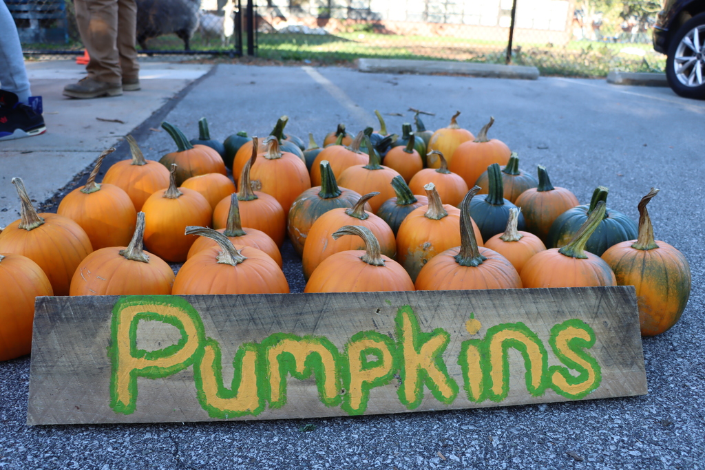 Pumpkins