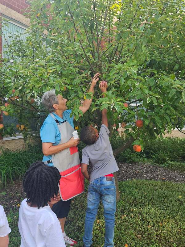 Ms. Galandiuk and a student examine an apple tree to find a ripe apple.