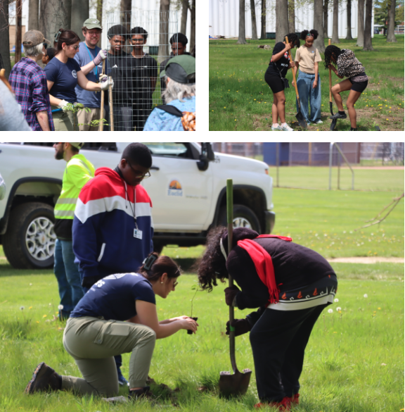 Students, volunteers and staff work together outdoors planting trees, using shovels and equipment while learning hands-on during a community environmental project.
