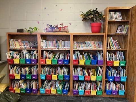 Elementary Picture Book Section