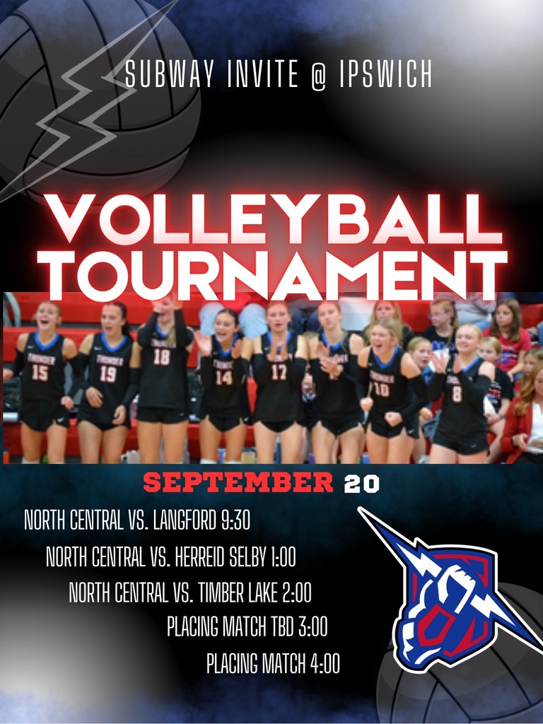 Volleyball flyer